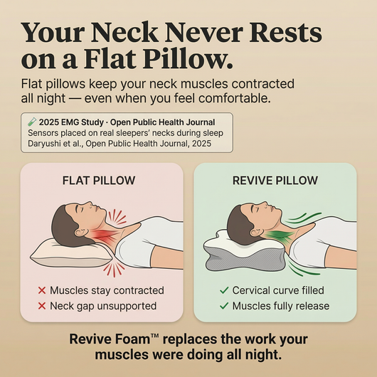 Original Revive PIllow™